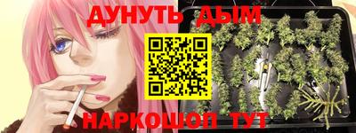 spice Лесосибирск