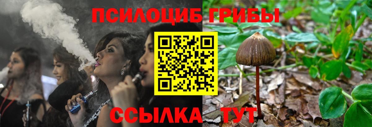 Дмитров  где можно купить наркотик  Вход с VPN  Псилоцибиновые грибы GOLDEN TEACHER  Галлюциногенные грибы GOLDEN TEACHER 